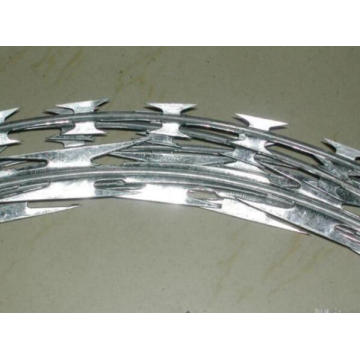 Top Security Razor Barbed Wire Made in China